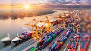 Govt allows temporary customs duty relief for SEZ units sold domestically